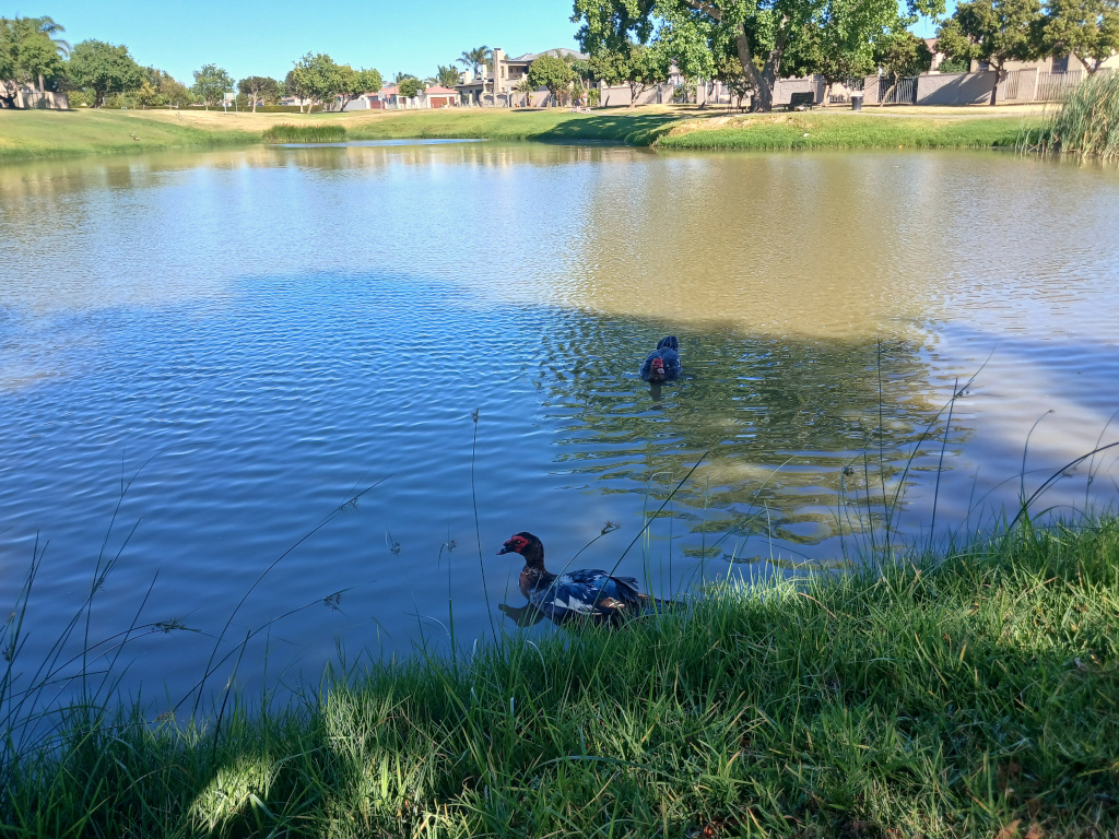 Klein_Bron_Park_11